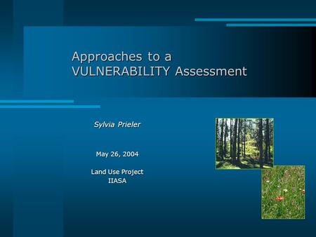 Approaches to a VULNERABILITY Assessment Sylvia Prieler May 26, 2004 Land Use Project IIASA.