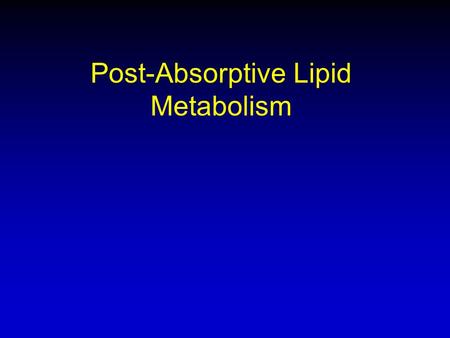 Post-Absorptive Lipid Metabolism