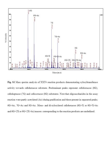 Fig. S1 Mass spectra analysis of XXT4 reaction products demonstrating xylosyltransferase activity towards cellohexaose substrate. Predominant peaks represent.