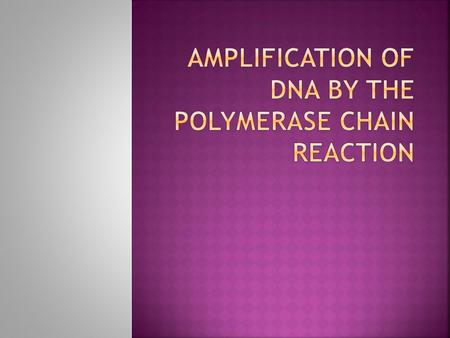  The polymerase chain reaction is a process that allows individual DNA fragments to be propagated in bacteria and isolated in large amounts  The DNA.