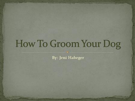 By: Jeni Habeger. You should begin by bathing your dog, making sure to reach all areas of its body.