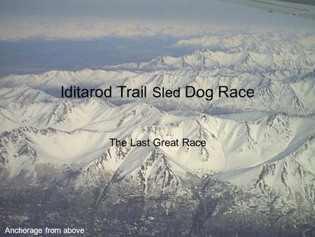 Iditarod Trail Sled Dog Race