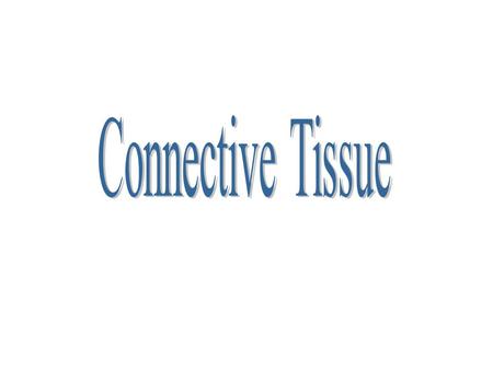 Connective Tissue.