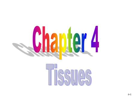 Chapter 4 Tissues.