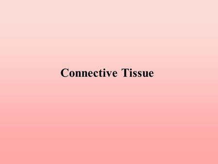 Connective Tissue.