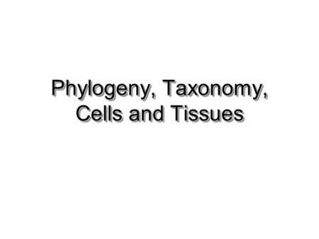 Phylogeny, Taxonomy, Cells and Tissues. Phylogeny & Taxonomy Phylogeny –Evolutionary relationship of animal groups –Established by comparative study of.