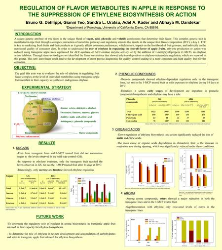 REGULATION OF FLAVOR METABOLITES IN APPLE IN RESPONSE TO THE SUPPRESSION OF ETHYLENE BIOSYNTHESIS OR ACTION Bruno G. Defilippi, Gianni Teo, Sandra L. Uratsu,