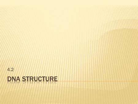 4.2.  It was determined that DNA comprises of three main components: deoxyribose sugar, phosphate group (-), nitrigenous base.  These three components.