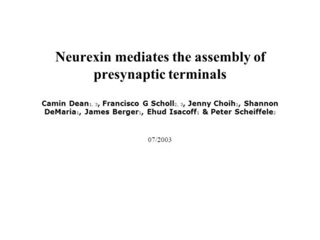 Neurexin mediates the assembly of presynaptic terminals Camin Dean 1, 3, Francisco G Scholl 2, 3, Jenny Choih 1, Shannon DeMaria 1, James Berger 1, Ehud.