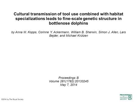 Cultural transmission of tool use combined with habitat specializations leads to fine-scale genetic structure in bottlenose dolphins by Anna M. Kopps,