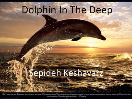 Dolphin In The Deep Sepideh Keshavarz.