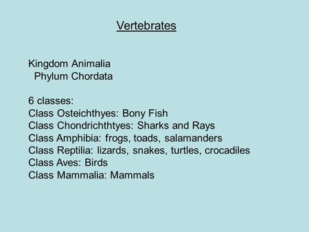 Vertebrates Kingdom Animalia Phylum Chordata 6 classes: Class Osteichthyes: Bony Fish Class Chondrichthtyes: Sharks and Rays Class Amphibia: frogs, toads,