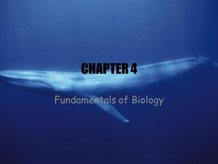 CHAPTER 4 Fundamentals of Biology. What makes something living?