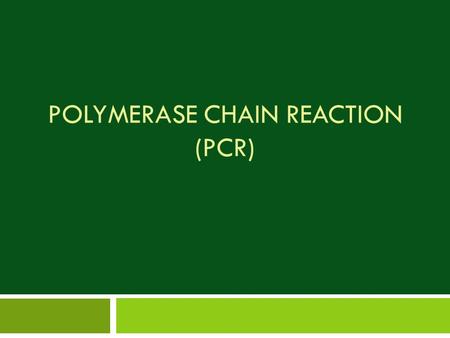 Polymerase Chain Reaction (PCR)