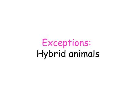 Exceptions: Hybrid animals. Exceptions: Hybrid animals Although breeding barriers (5) normally prevent different species from interbreeding with each.