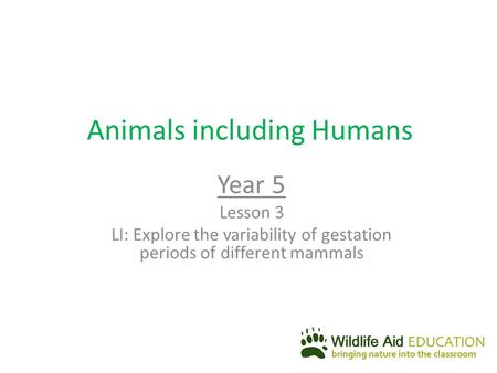 Animals including Humans Year 5 Lesson 3 LI: Explore the variability of gestation periods of different mammals.