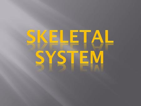 Skeletal system.