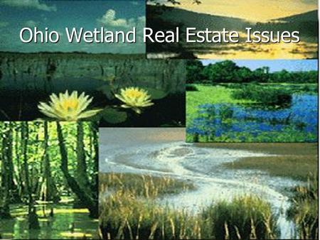 Ohio Wetland Real Estate Issues. Definition Definition Federal Regulations Federal Regulations Permits Permits Solutions Solutions Legal Statues Legal.