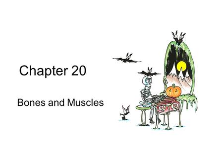 Chapter 20 Bones and Muscles.