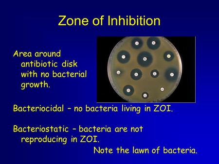 Zone of Inhibition Area around antibiotic disk with no bacterial growth. Bacteriocidal – no bacteria living in ZOI. Bacteriostatic – bacteria are not reproducing.