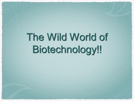 The Wild World of Biotechnology!!. Applications Genetic Transformation Cloning - Genes and entire organisms Gene Therapy Environmental Clean-Up.