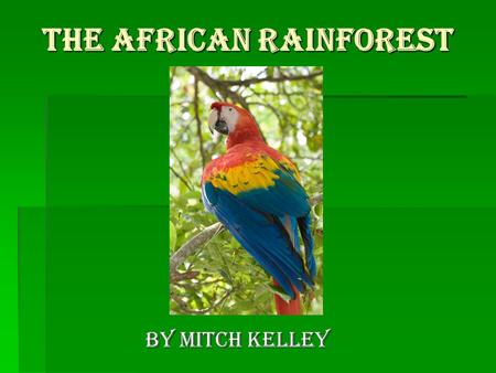 The African Rainforest By Mitch Kelley. African Rainforests are disappearing!  Road construction, deforestation, slash and burn farming have caused 90.