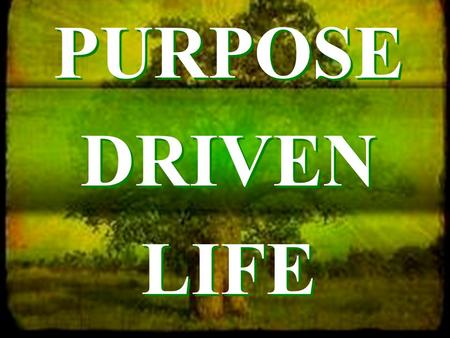 PURPOSE DRIVEN LIFE.