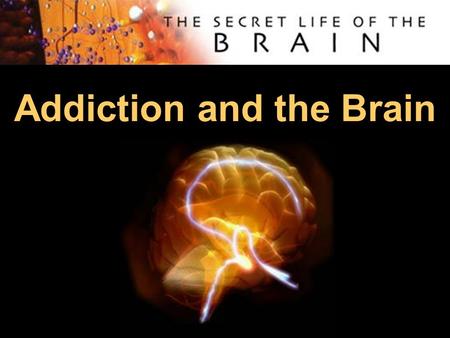 Addiction and the Brain