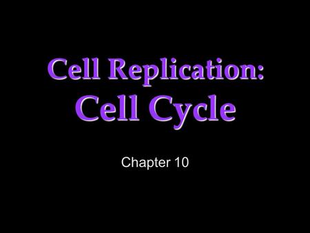 Cell Replication: Cell Cycle