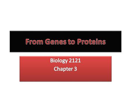 Two nucleic acids: – Deoxyribonucleic acid (DNA) – Ribonucleic acid (RNA) Monomers: ‘Nucleotide’ – 5-carbon sugar (ribose or deoxyribose) – Phosphate.