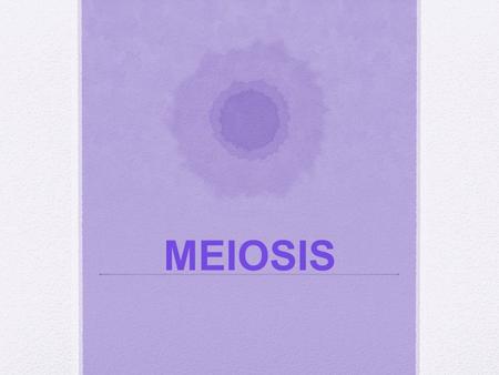 MEIOSIS. I. General Info A. Your body makes two types of cells: 1. Somatic cells a) Contain 46 chromosomes (23 from Mom and 23 from Dad) b) They are diploid.