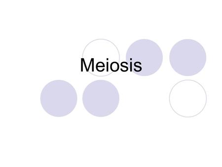 Meiosis.