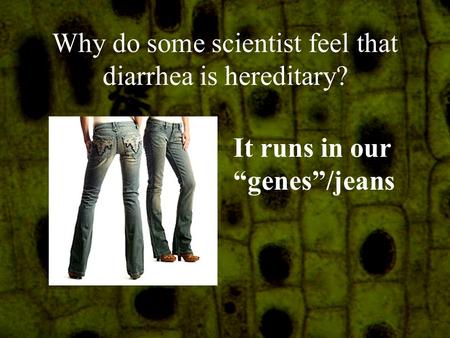 Why do some scientist feel that diarrhea is hereditary? It runs in our “genes”/jeans.