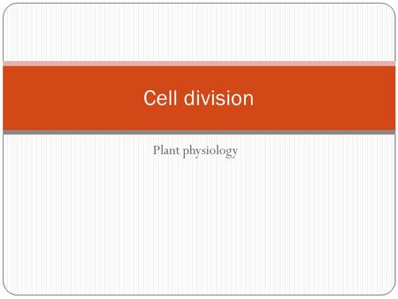 Cell division Plant physiology.