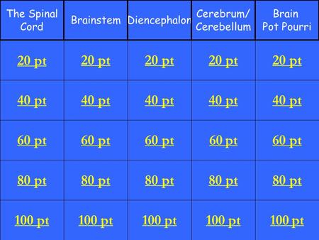 40 pt 60 pt 80 pt 100 pt 20 pt 40 pt 60 pt 80 pt 100 pt 20 pt 40 pt 60 pt 80 pt 100 pt 20 pt 40 pt 60 pt 80 pt 100 pt 20 pt 40 pt 60 pt 80 pt 100 pt 20.