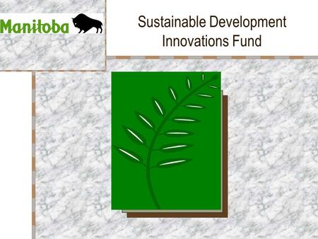 Sustainable Development Innovations Fund. Fund Overview Created in October 1989 Provides financial assistance for development, implementation and promotion.