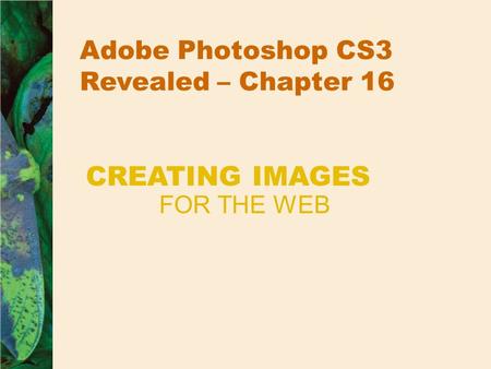 Adobe Photoshop CS3 Revealed – Chapter 16 FOR THE WEB CREATING IMAGES.