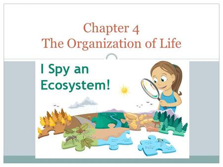 Chapter 4 The Organization of Life