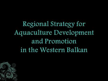  Six countries  Five in the project  Two are already in the EU  Bosnia and Herzegovina  former Yugoslav Republic of Macedonia  Montenegro  Serbia.