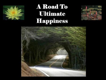 1 A Road To Ultimate Happiness. 2 The Ultimate Happiness is NIRVANA the unconditioned state of Perfect Peace, Perfect Wisdom Perfect Freedom.