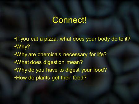 Connect! If you eat a pizza, what does your body do to it? Why? Why are chemicals necessary for life? What does digestion mean? Why do you have to digest.