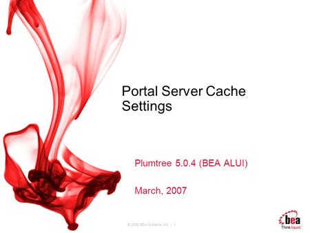 © 2005 BEA Systems, Inc. | 1 Portal Server Cache Settings Plumtree 5.0.4 (BEA ALUI) March, 2007.