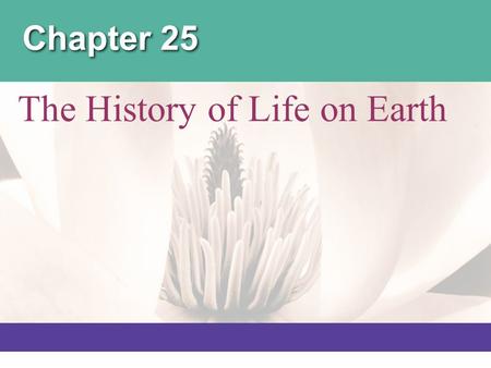 Chapter 25 The History of Life on Earth. Overview: Lost Worlds Past organisms were very different from those now alive. The fossil record shows macroevolutionary.