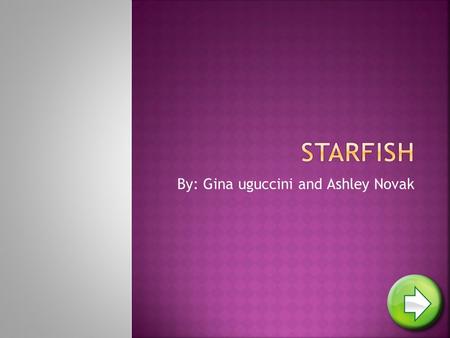 By: Gina uguccini and Ashley Novak.  Introduction Introduction  What they Eat What they Eat  Where they live Where they live  Descriptions and Adaptations.