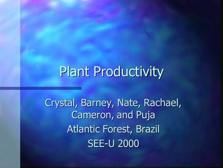 Plant Productivity Crystal, Barney, Nate, Rachael, Cameron, and Puja Atlantic Forest, Brazil SEE-U 2000.