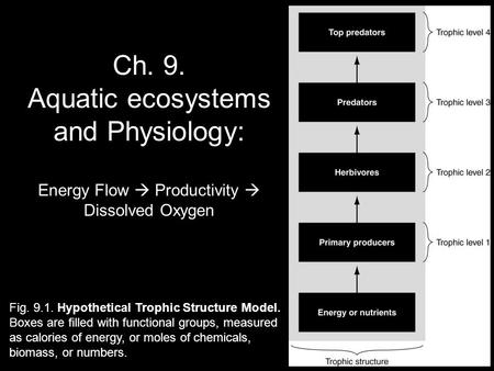 Ch. 9. Aquatic ecosystems and Physiology: Energy Flow  Productivity  Dissolved Oxygen Fig. 9.1. Hypothetical Trophic Structure Model. Boxes are filled.