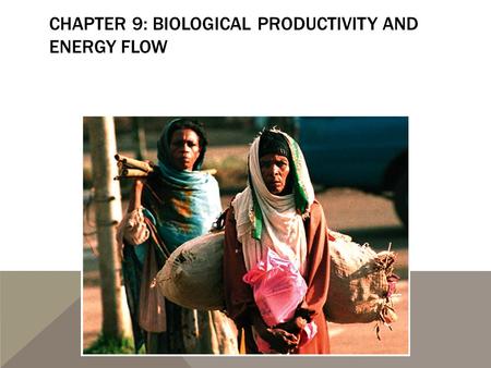 CHAPTER 9: BIOLOGICAL PRODUCTIVITY AND ENERGY FLOW.