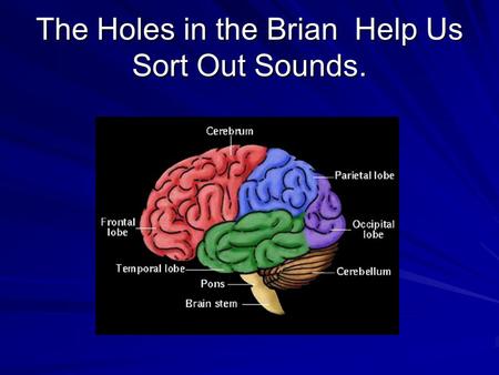 The Holes in the Brian Help Us Sort Out Sounds..  I. The Brain’s ability to sort out sounds  1. speech sounds are categorized.  2.Misinterpretations.