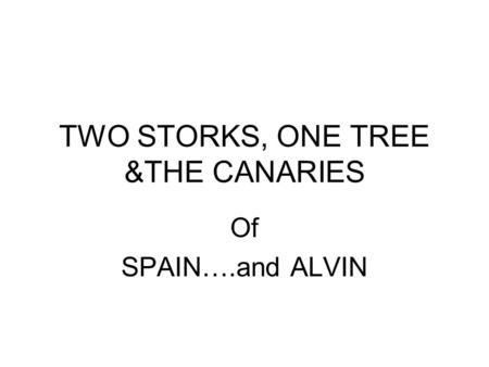 TWO STORKS, ONE TREE &THE CANARIES Of SPAIN….and ALVIN.