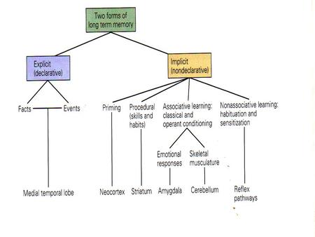 Memory I Episodic or expelicit or declerative Limbic and temporal lobe are essential Semantic or Implicit or nondeclerative or reflexive, Tehran is captial.